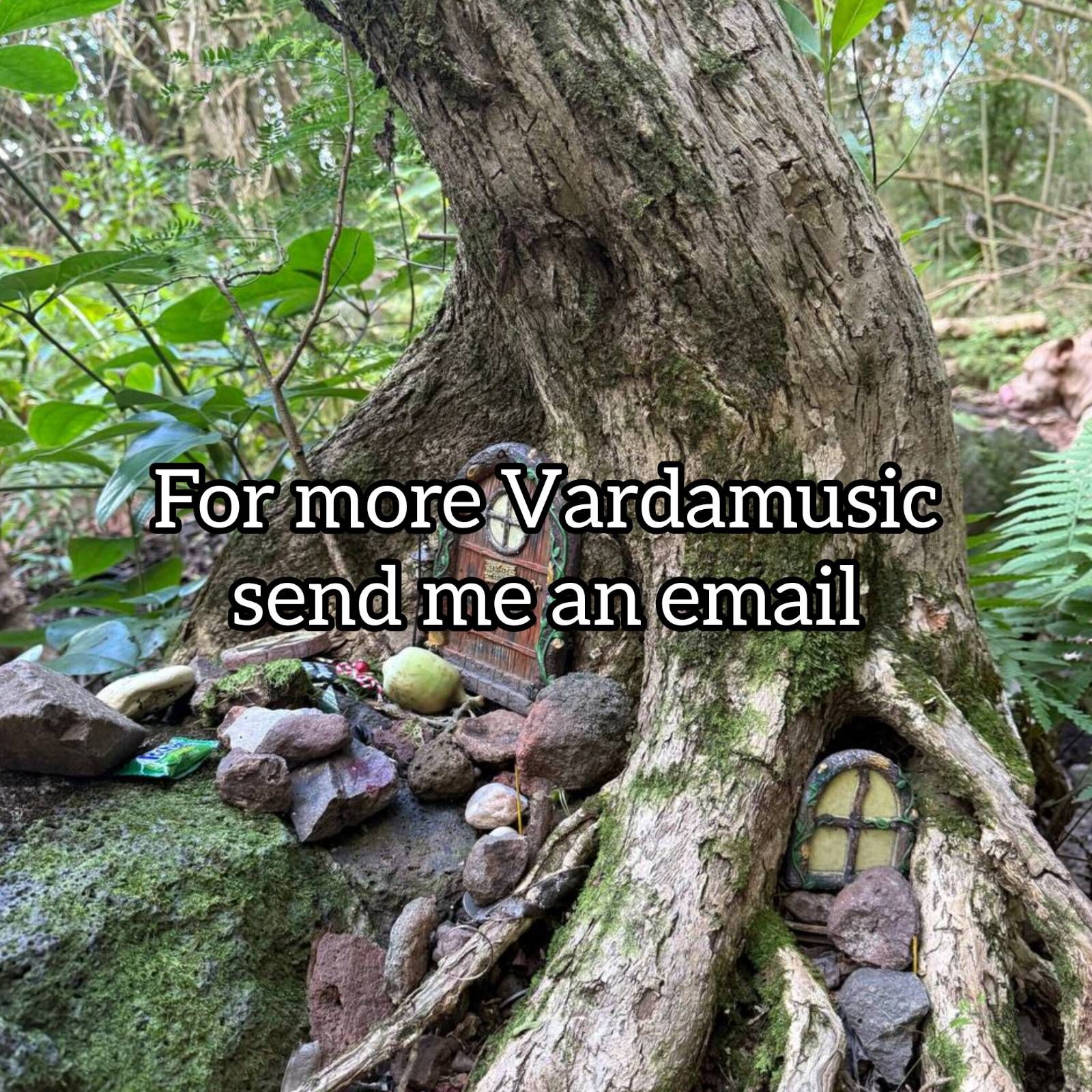 A picture of a tree that represents Varda, inviting you to send an email