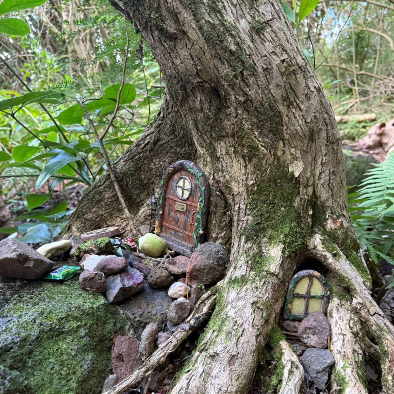 A picture of a tree that represents Varda