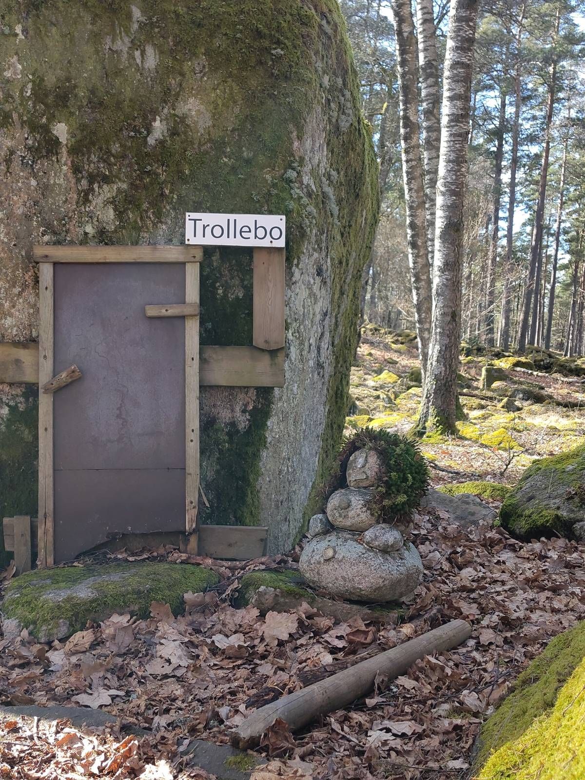 Saxophone meditations in the forest, a picture of a mystical creature in Rångedala